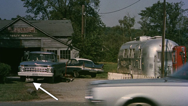 Pretty Poison - white cat with black markings under car