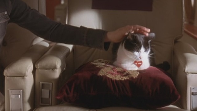 The Princess Diaries 2: Royal Engagement - tuxedo cat Fat Louie on cushion in plane
