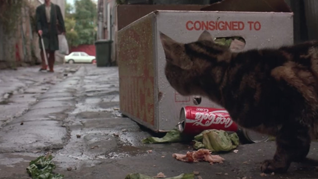Proof - Bengal tabby cat Ugly eating meat in alley as Martin Hugo Weaving approaches