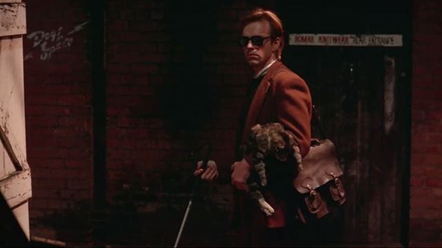 Proof - limp Bengal tabby cat Ugly being held by Martin Hugo Weaving