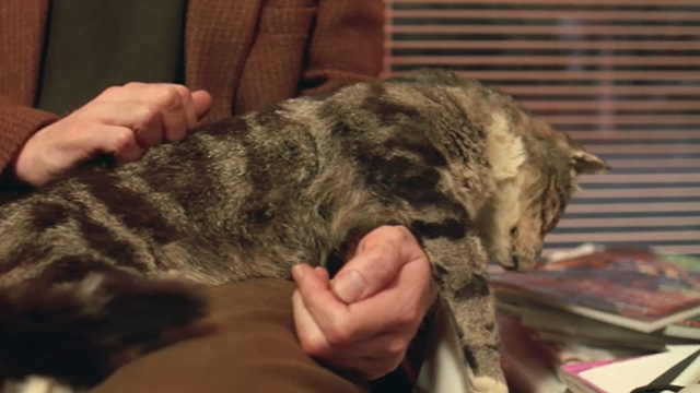 Proof - limp Bengal tabby cat Ugly lying in lap