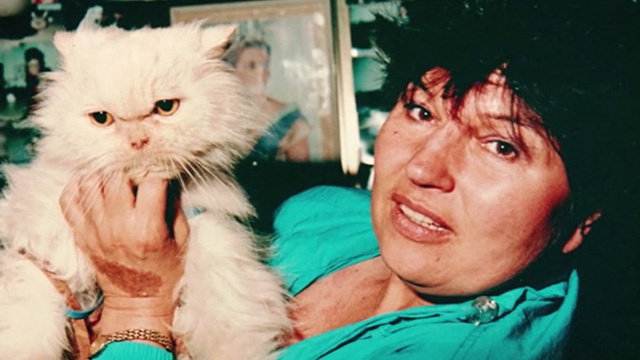 Proof - photo of cream colored Persian cat held up by woman