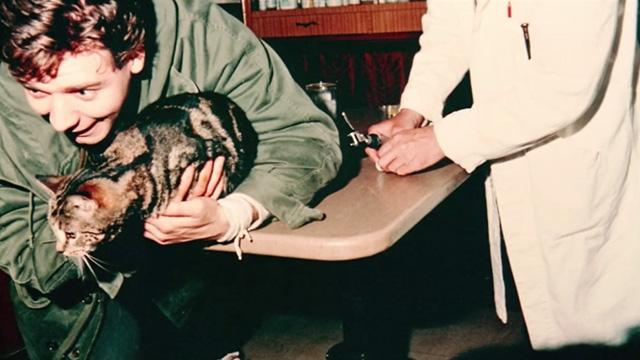 Proof - photo of Bengal tabby cat Ugly in veterinary office with Andy Russell Crowe