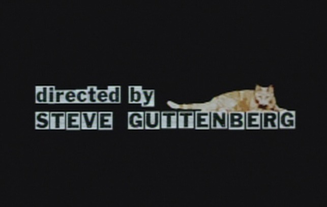 P.S. Your Cat is Dead! - cat over director credit