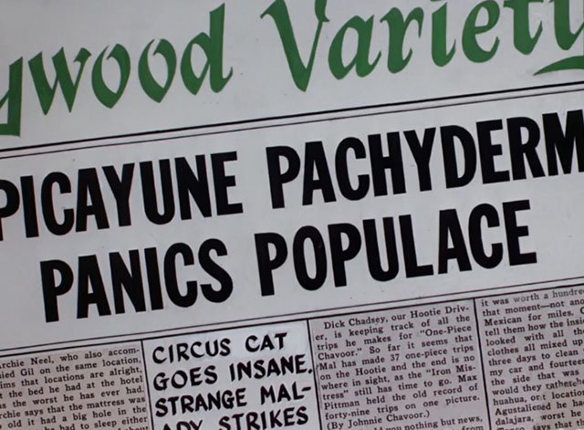Punch Trunk - cartoon newspaper headline with sentence Circus Cat Goes Insane