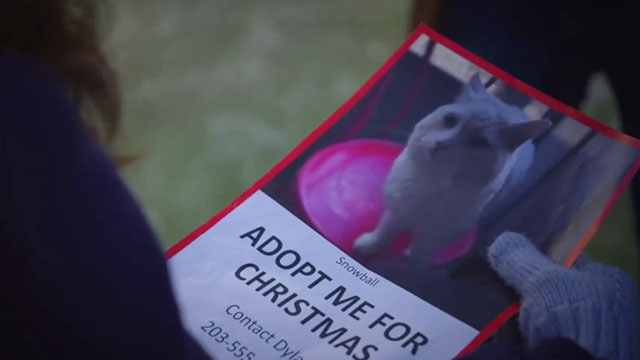 Puppy Love for Christmas - adoption event flyer with white cat Snowball