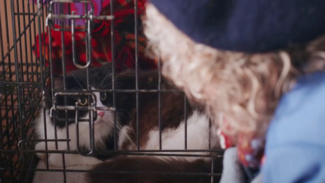 Puppy Love for Christmas - longhair tuxedo cat George in cage