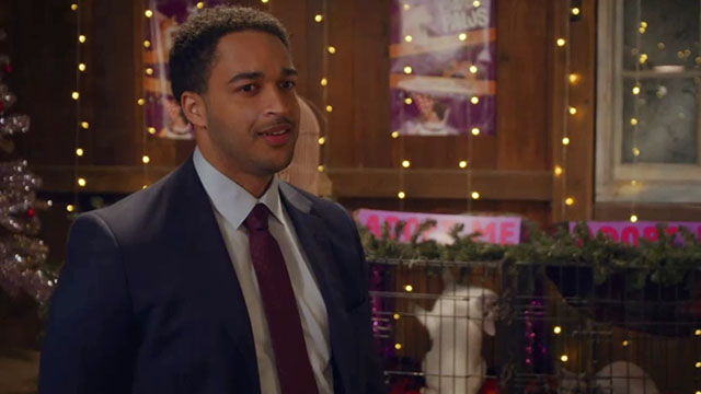 Puppy Love for Christmas - Dylan Ezekiel Simat with white cat Snowball looking sideways in cage