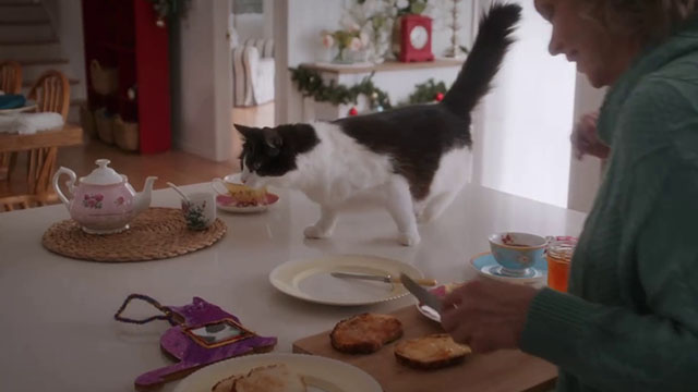 Puppy Love for Christmas - longhair tuxedo cat George on table