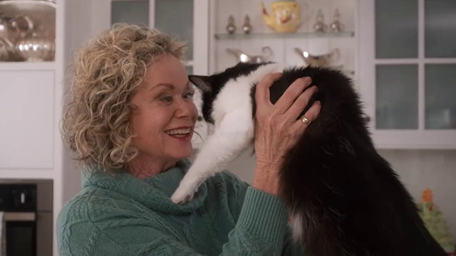 Puppy Love for Christmas - Claire Christine Amor holding up longhair tuxedo cat George