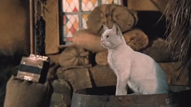 Puss in Boots - El gato con botas - white cat sitting on barrel in barn