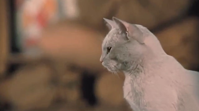 Puss in Boots - El gato con botas - white cat profile