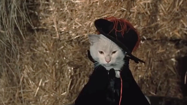Puss in Boots - El gato con botas - white cat wearing cape and hat
