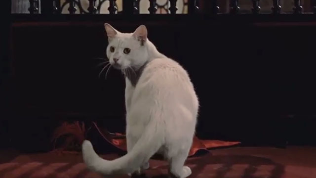 Puss in Boots - El gato con botas - white cat standing