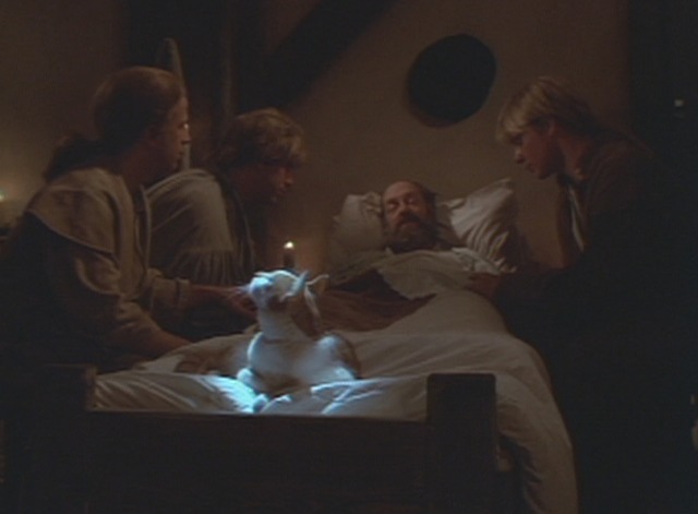 Puss in Boots - orange and white cat Puss on bed of dying miller