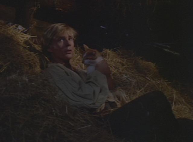 Puss in Boots - orange and white cat Puss being held by Jason Connery Corin