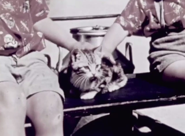 The Pussycat That Ran Away - tabby kitten on wagon seat between boys
