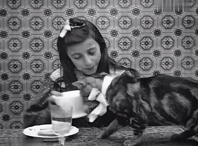 Pussy's Breakfast - Le Déjeuner de minet - tabby cat on table with girl