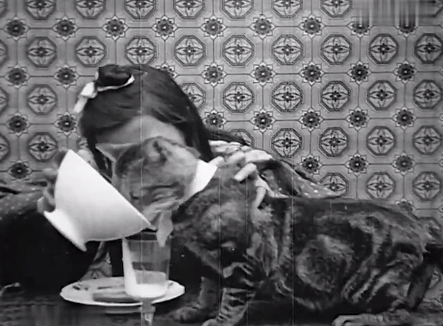Pussy's Breakfast - Le Déjeuner de minet - tabby cat on table with girl pouring cream into glass