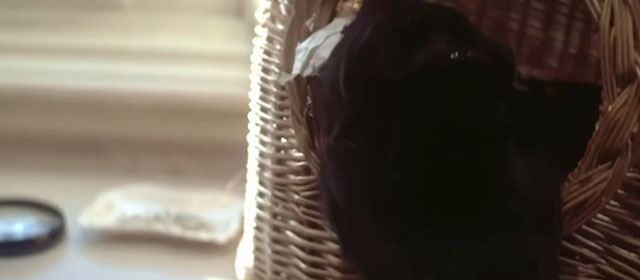 The Pyx - black cat in basket