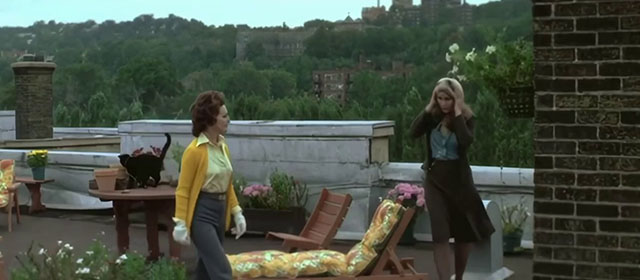The Pyx - black cat on rooftop table with Meg Yvette Brind'amour and Elizabeth Karen Black