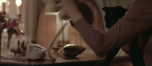 The Pyx - black cat held by Meg Yvette Brind'amour