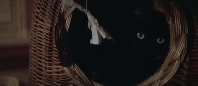 The Pyx - black cat in basket