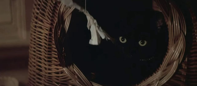 The Pyx - black cat in basket