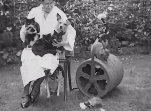 Queer Companions - woman sitting with three cats and dog on her lap with rabbit, rat and tortoise nearby
