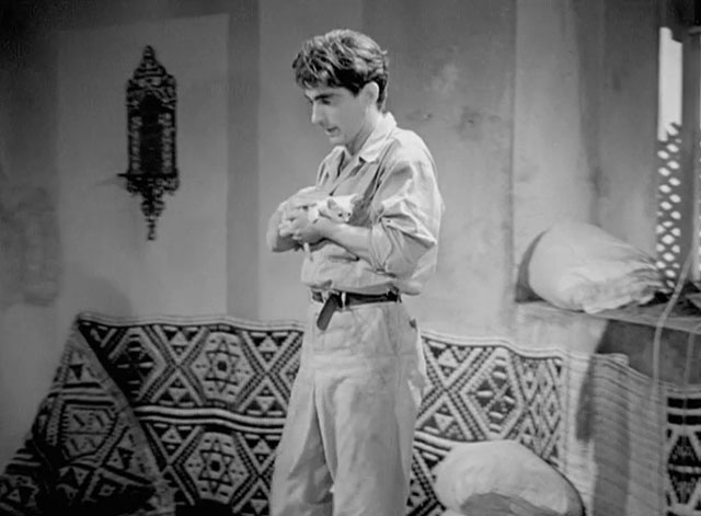 Quel fantasma di mio marito - Gianni Walter Chiari holding white kitten