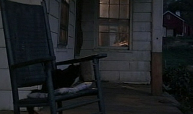 Rachel, Rachel - black cat walking on porch