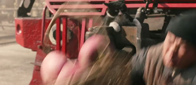 Railroad Tigers - tuxedo cat startled by falling man while hanging onto front of train which is moving back