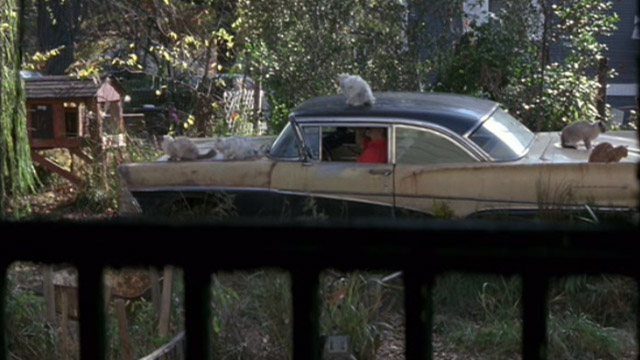 The Rainmaker - cats sitting on Buddy Red West car in backyard