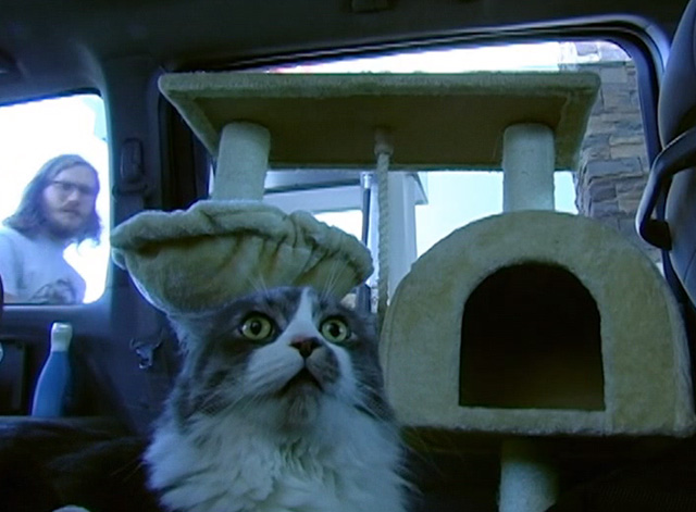 Ramblin' Freak - Cat in car with Parker Smith approaching from outside