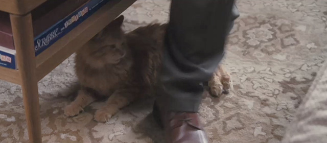 Ramona and Beezus - long-haired orange tabby cat Picky Picky Miller under dad's feet