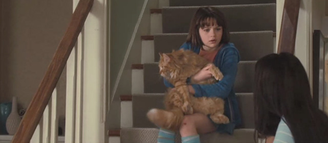Ramona and Beezus - long-haired orange tabby cat Picky Picky Miller being held on stairs by Ramona Joey King