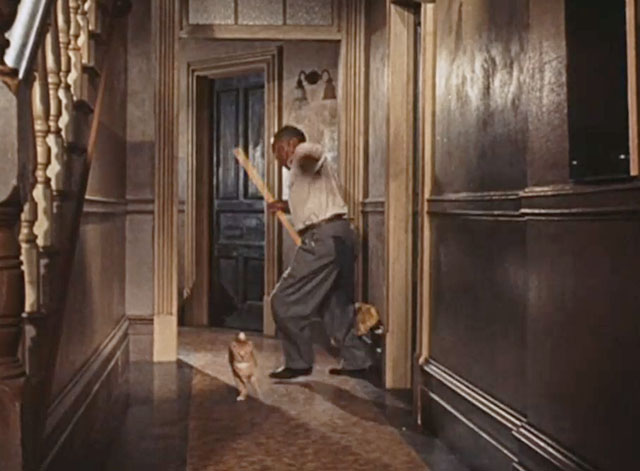 The Rat Race - ginger tabby cat running down apartment hallway past custodian Johnny Lee