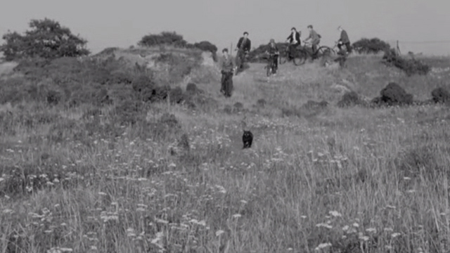 Reach for Glory - black cat being chased by boys on bikes