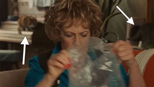 Real Time - grandma Jayne Eastwood looking into bag with ginger and white and gray tabby cats behind