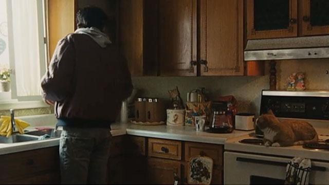 Real Time - Andy Jay Baruchel in kitchen with ginger and white tabby cat on stove