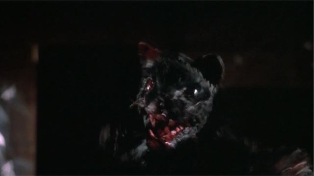 Re-Animator cat vicious