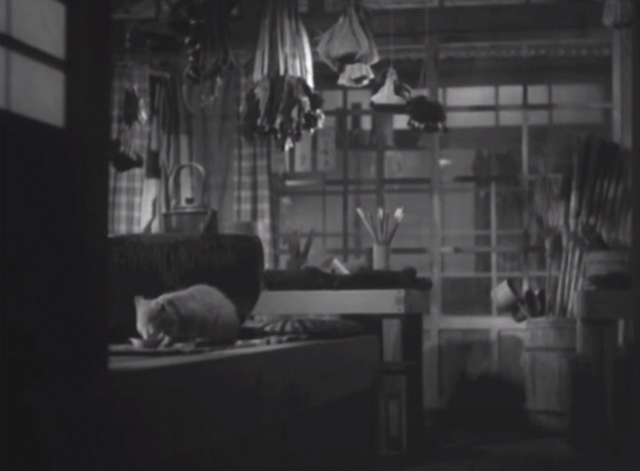 Record of a Tenement Gentleman - white cat with bib collar eating from bowl