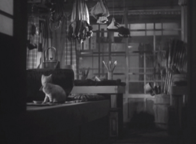 Record of a Tenement Gentleman - white cat with bib collar looking away from bowl