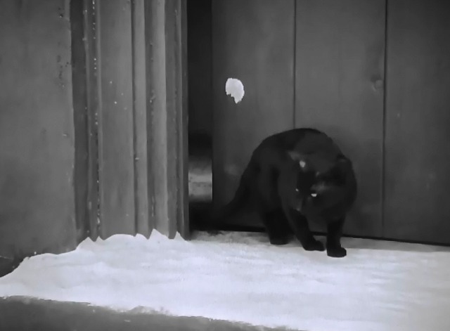 The Red Mill - black cat on windowsill
