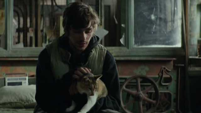 Regression - Roy Devon Bostick holding calico cat on lap
