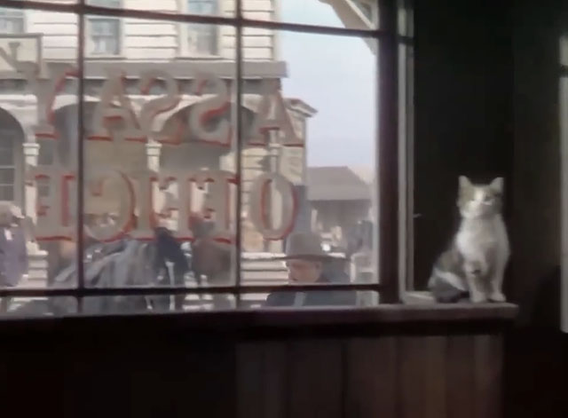 Relentless - camera pans by grey and white tabby cat in assayer office window