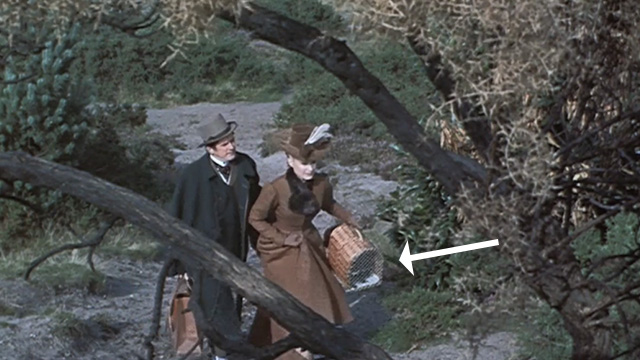 The Reptile - Valerie Jennifer Daniel and Harry Ray Barrett carrying black cat Katie in carrier