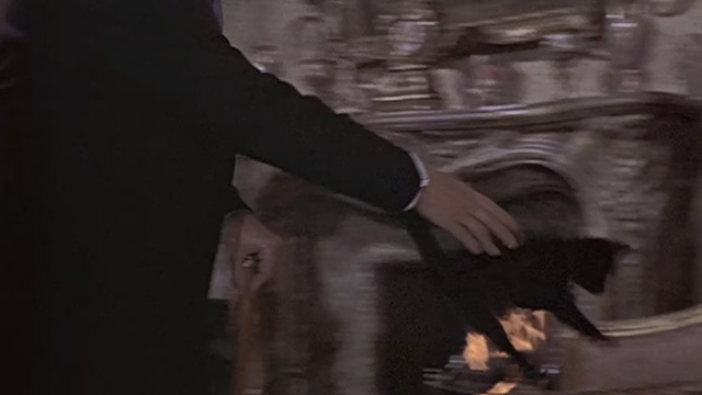 The Reptile - Dr. Franklyn Noel Willman tossing black kitten Katie onto chair