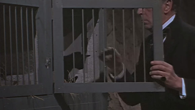 The Reptile - Dr. Franklyn Noel Willman releasing black kitten Katie from cage