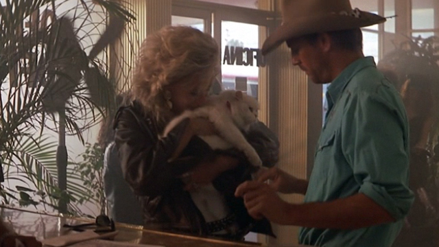 Revenge - rock star Sally Kellerman hugging long-haired white cat Precious who has claw in finger bandage of Michael Cochran Kevin Costner